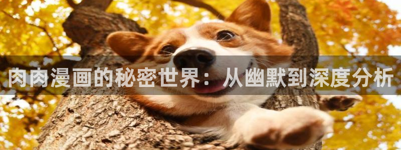 51漫画网站下载：肉肉漫画的秘密世界：从幽默到深度分析