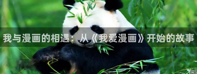 51漫画网页版：我与漫画的相遇：从《我爱漫画》开始的故事