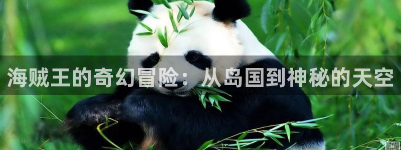 51漫画免vip：海贼王的奇幻冒险：从岛国到神秘的天空