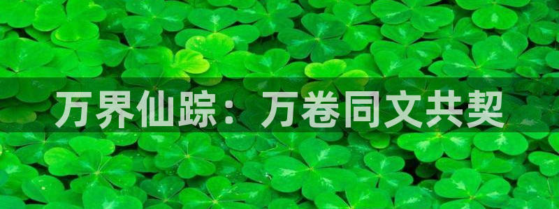 老版51漫画：万界仙踪：万卷同文共契