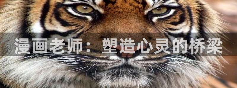 51漫画下载免费版最新版本：漫画老师：塑造心灵的桥梁