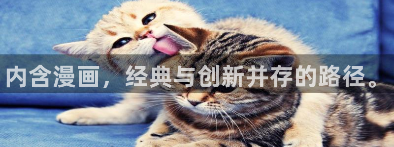51漫画免费漫画页面漫画小说：内含漫画，经典与创新并存的路径。